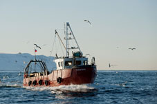 Специалисты ВСЕГЕИ выполнили полевые работы в Териберском заливе Баренцева моря и Кандалакшском заливе Белого моря
