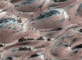 Рощи: новые морфозагадки Марса