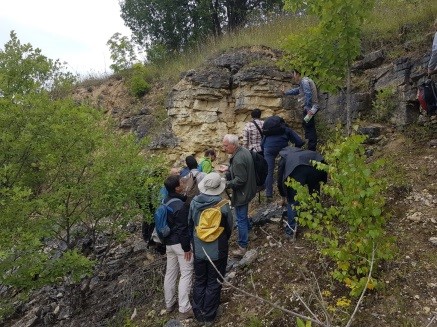 Геологическая экскурсия на разрезы ордовика Балтийско-Ладожского глинта в окрестностях Санкт-Петербурга